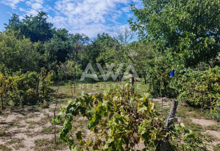 Apatin. Prizemna kuća 161m2, plac 20ar