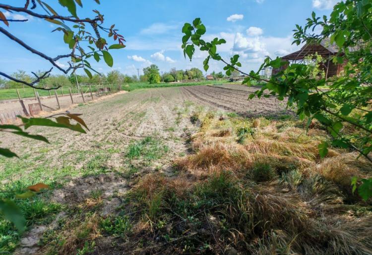 Kljajićevo. Dve kuće 210m2, plac 18ar