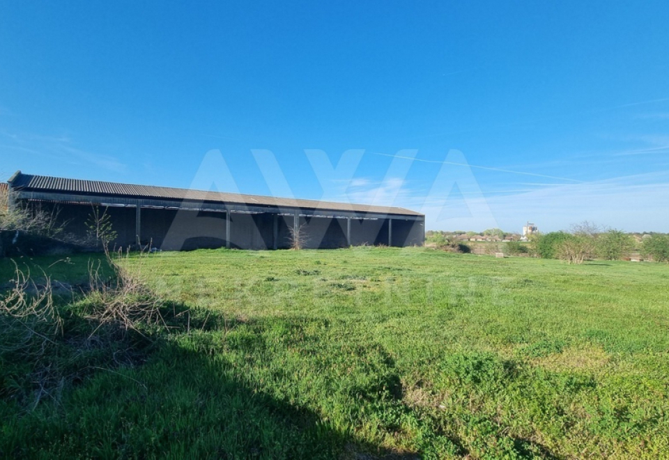 Poslovni objekti 1996m2, plac 1ha