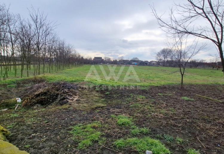 Na prodaju kuća u Čonoplji – veliko domaćinstvo na placu od oko 2.600 m²