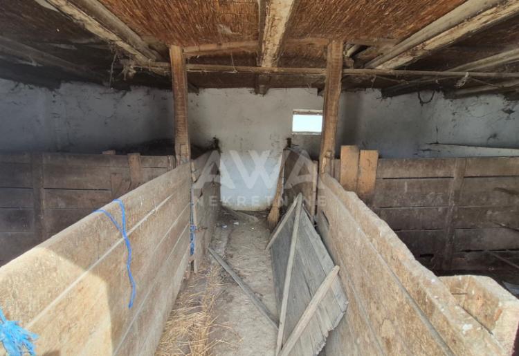 Kuća + veliko imanje u Staparu – idealno za život i uzgoj životinja