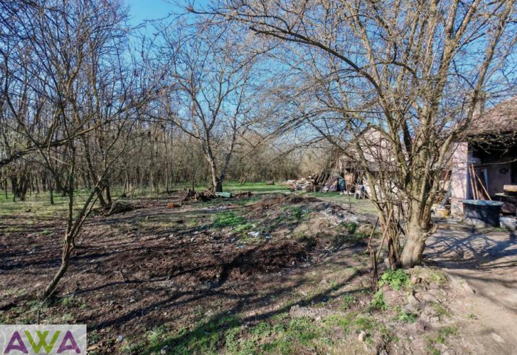 Bezdan – Štrbac | Salaš sa dve kuće na 27 ari