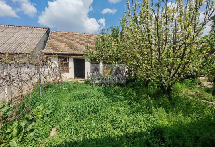 Kuća sa velikim potencijalom – mogućnost više stambenih jedinica, Apatin (blizina centra)