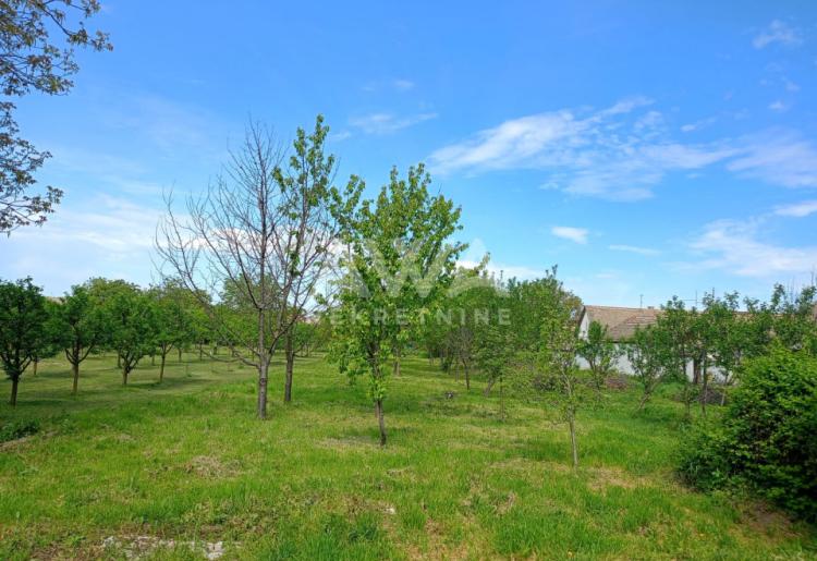 Apatin. Porodična kuća sa velikim placem – idealna za miran život ili investiciju!