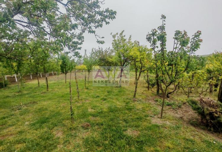 Stapar – porodično imanje na skoro 24 ara, kuća 185m² + pomoćni objekti