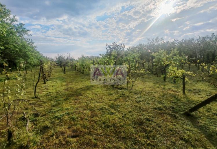 Imanje za život i proizvodnju – vinograd, voćnjak i podrum u Sivcu