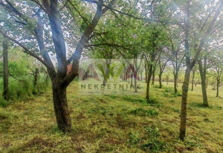 Imanje za život i proizvodnju – vinograd, voćnjak i podrum u Sivcu
