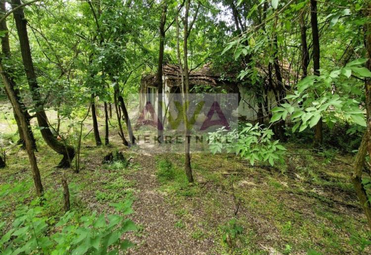 Kuća u šumi – 95m² na placu od 7.111m² | Idealno za vikendicu, beg u prirodu ili novi početak