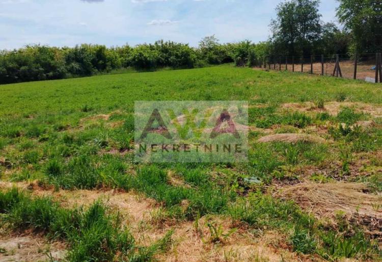 Šikara. Prizemna kuća 150m2, plac 29ar