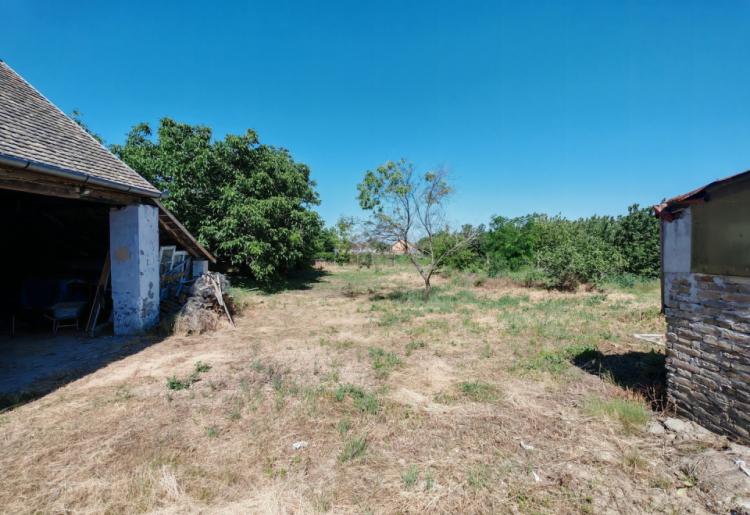 Bogojevo. Renovirana i nameštena kuća 276m2 na velikom placu od 27 ari