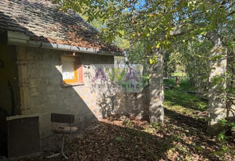 Kljajićevo – Salaš sa voćnjakom, orahom i velikom porodičnom kućom na 42 ara