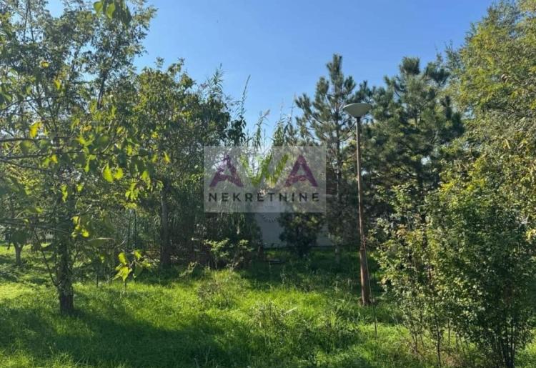 Kljajićevo – Salaš sa voćnjakom, orahom i velikom porodičnom kućom na 42 ara