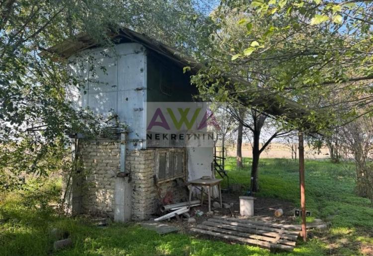Kljajićevo – Salaš sa voćnjakom, orahom i velikom porodičnom kućom na 42 ara