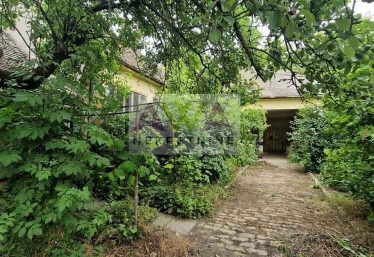 Kruščić – Prizemna kuća 338m² na placu od 4.754m²