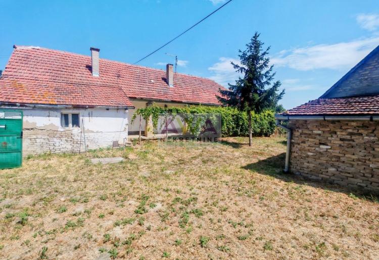 Bezdan – Neki kupuju kuću. Neki kupuju priliku da od svog rada naprave budućnost.