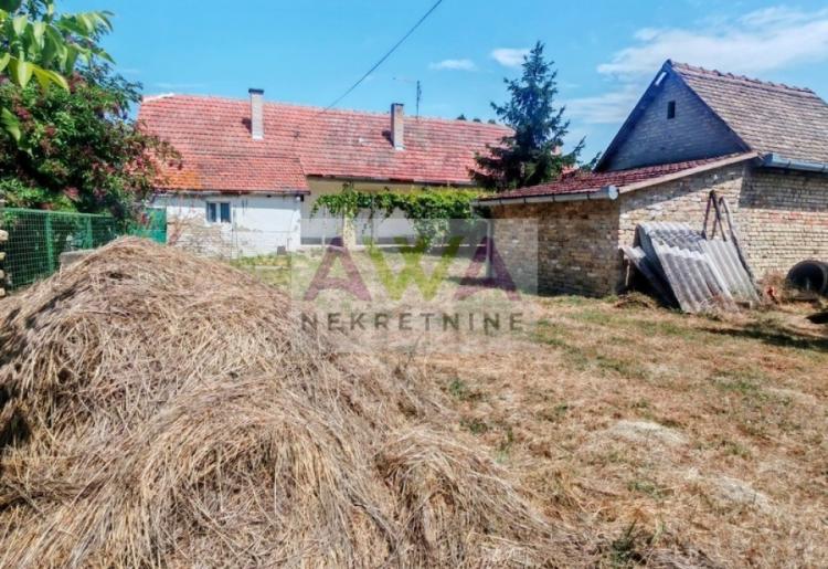 Bezdan – Neki kupuju kuću. Neki kupuju priliku da od svog rada naprave budućnost.