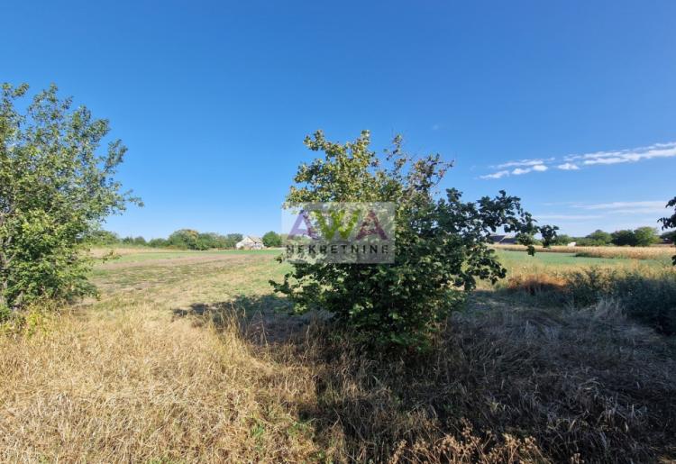 Bački Brestovac – kuća 133 m² na placu od 12,99 ari – 22.000 €
