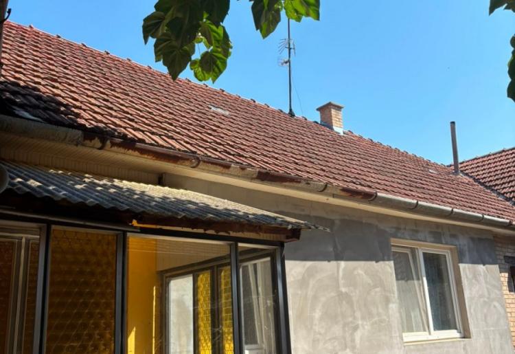 Kupusina – porodična kuća sa velikim placem od 2.089 m²