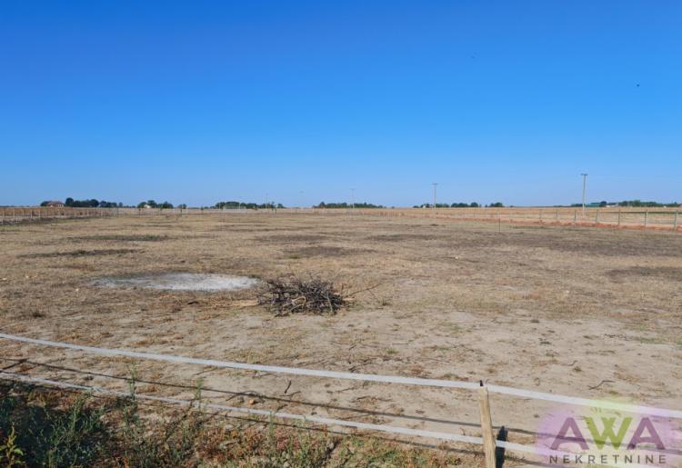 Sombor – salaš na 1,31 ha sa dve funkcionalne kuće i voćnjakom