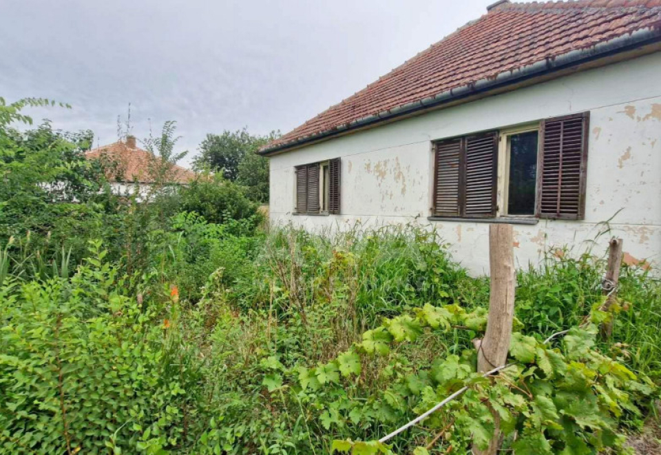 Gakovo, Kuća 90 m2, Plac 2616 m2
