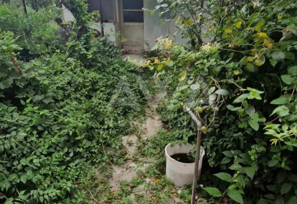 Gakovo, Kuća 90 m2, Plac 2616 m2