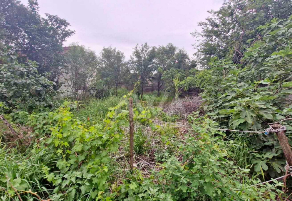 Gakovo, Kuća 90 m2, Plac 2616 m2