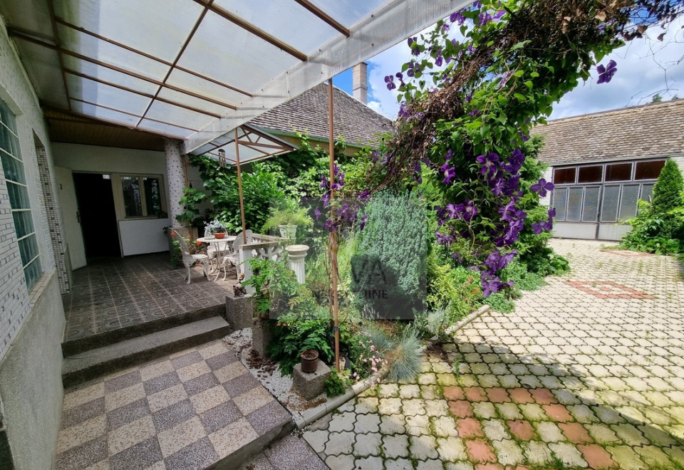 Apatin, kuća 234m2, plac 4ar, glavni put