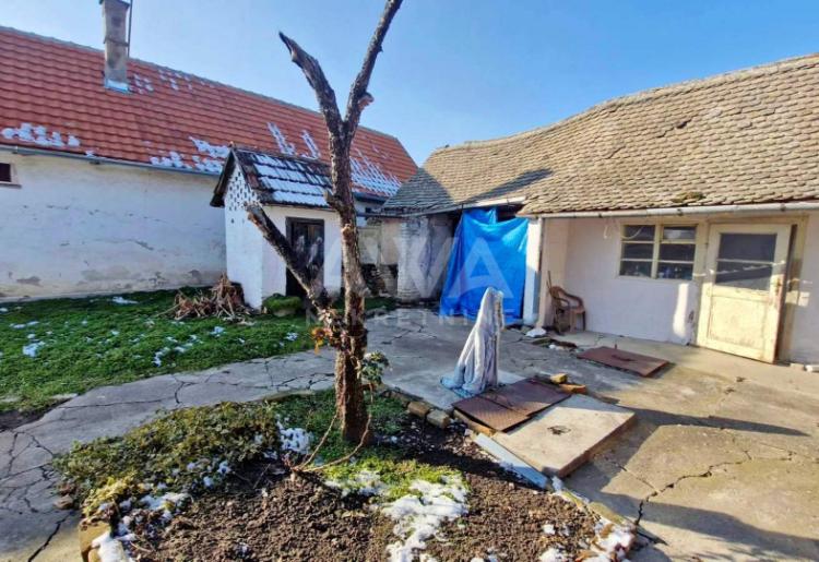 Bezdan, Kuća 175 m2 na placu od 1513 m2