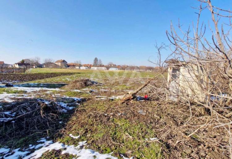 Bezdan, Kuća 175 m2 na placu od 1513 m2