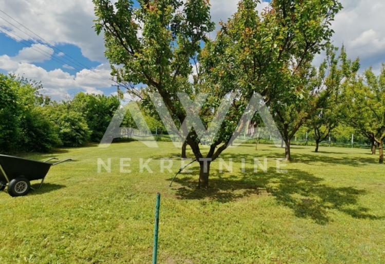 Apatin. Voćnjak ili 3 placa za vikendicu