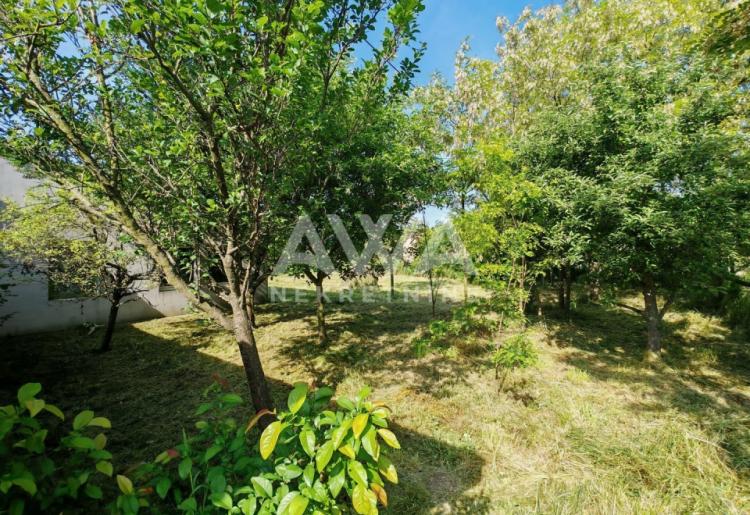 Predgrađe Bezdana. Salaš, kuća 111m2, plac 9.7ar
