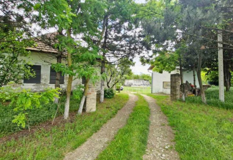 Na prodaju autentičan salaš u Stanišiću-idealan za etno turizam