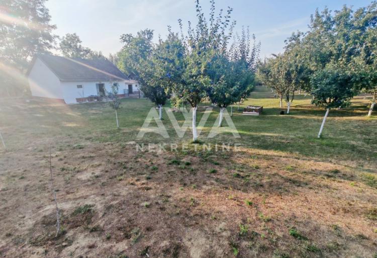 Sonta. Kuća – salaš na 47ar placa