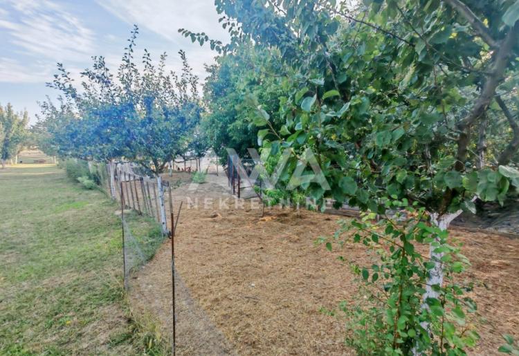 Sonta. Kuća – salaš na 47ar placa