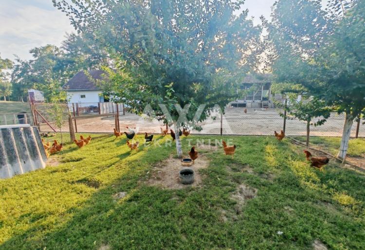 Sonta. Kuća – salaš na 47ar placa