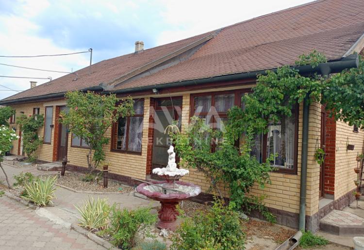 Apatin. Prizemna kuća 195m2, plac 43ar
