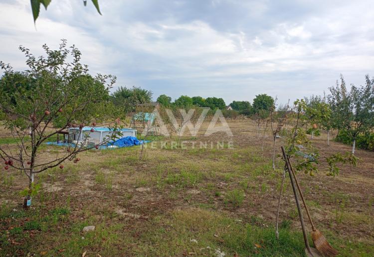 Apatin. Prizemna kuća 195m2, plac 43ar