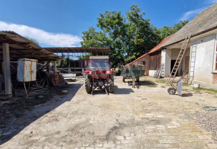 Bezdan, Kuća 172m2 sa pomoćnim objektima