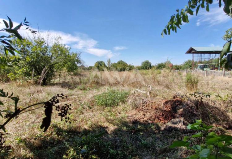 Bezdan, Kuća 172m2 sa pomoćnim objektima