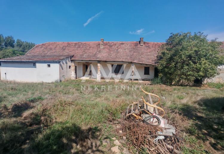 Bački Breg. Kuća, za rušenje 237m2, plac 42ar